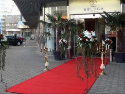 Foto: Beluga